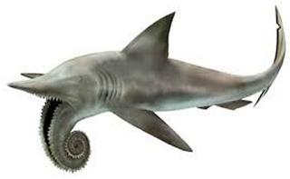 Helicopron (The Chainsaw Shark)