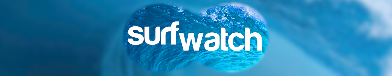SurfWatch...Who's watching the waves?