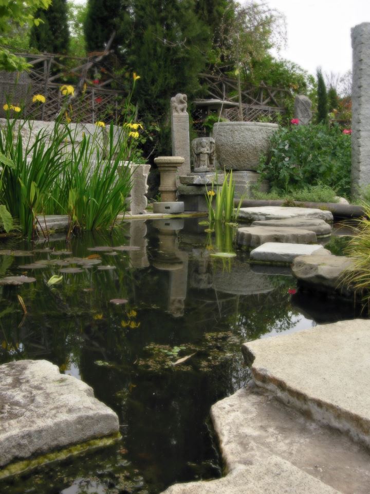 paradis express Cevan Forristt