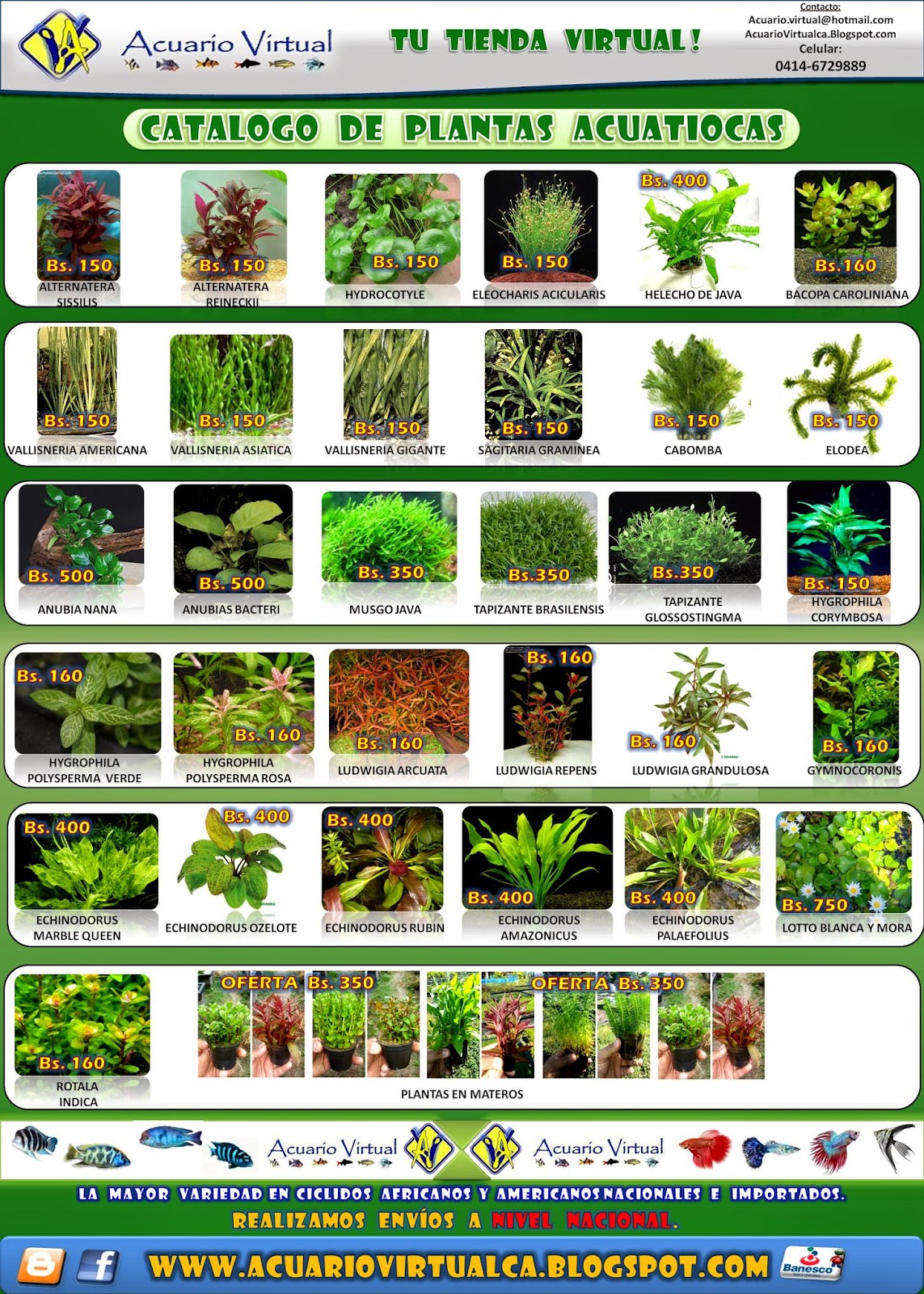 [Imagen: Plantas%2BAcuaticas2015.jpg]
