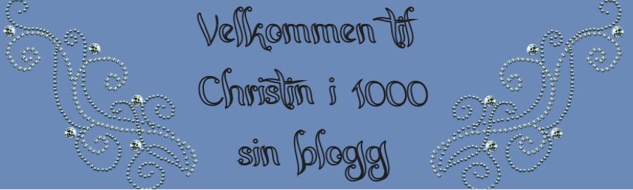 Christin i 1000