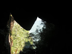 Pico do Marumbi