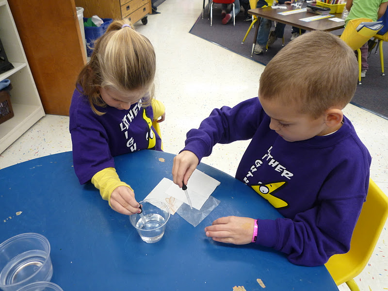 Team Spata What Happens When Paper Gets Wet?