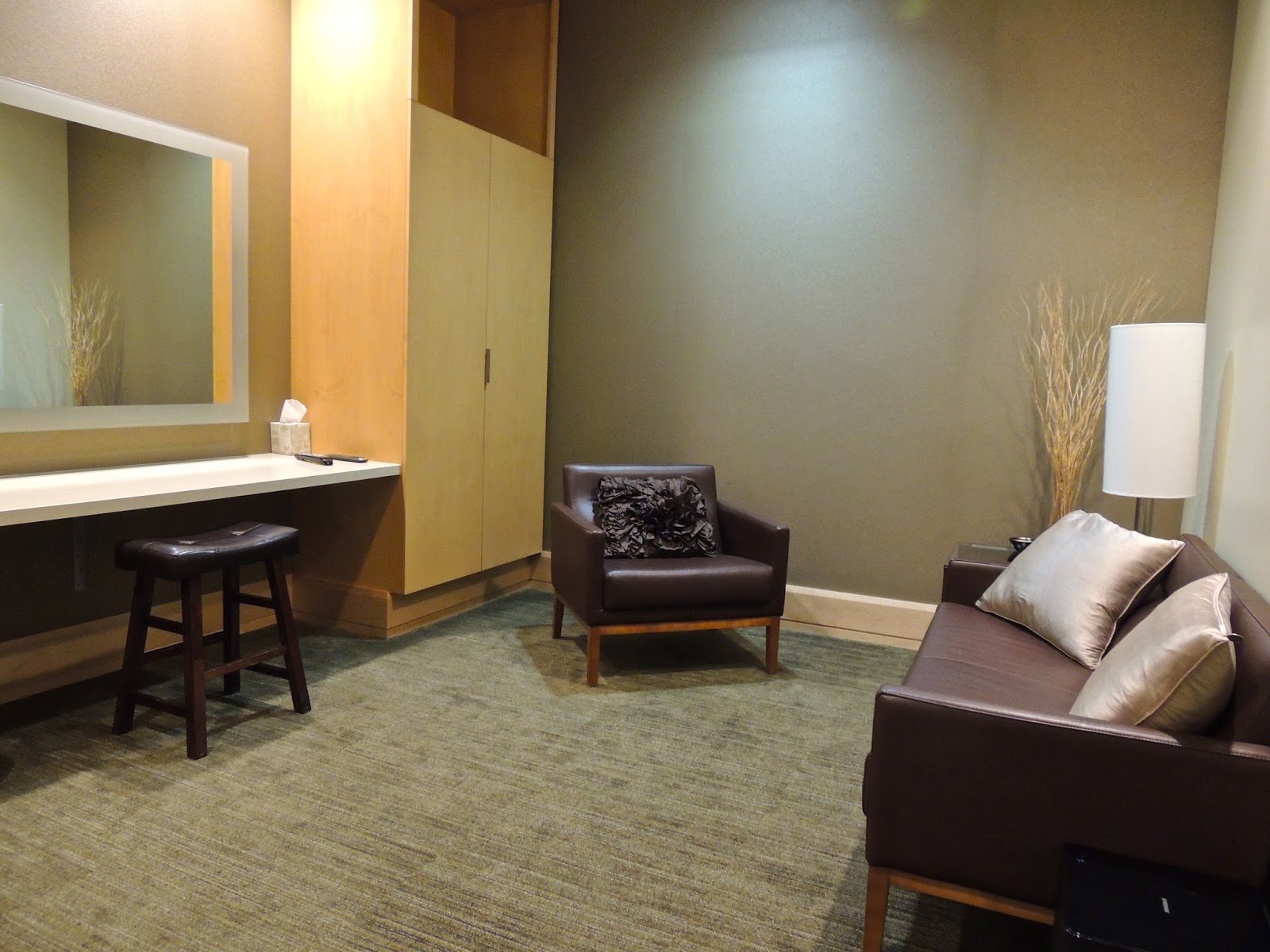 Scottsdale Daily Photo Photo Musical Instrument Museum Theater Green Room