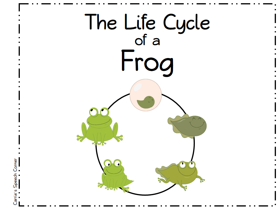 The life cycle of a frog essay image