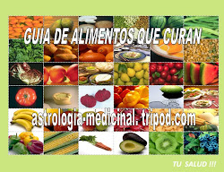 La Nueva Guía Electronica De Alimentos Qué Curan