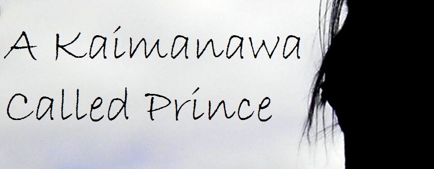 A Kaimanawa Called Prince