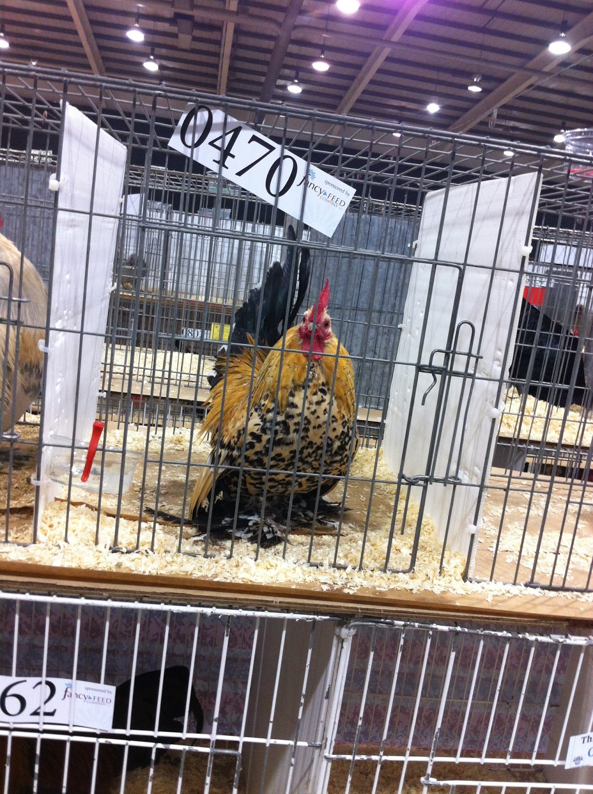 Smallholding Pleasure or Profit The Poultry Club of Great Britain