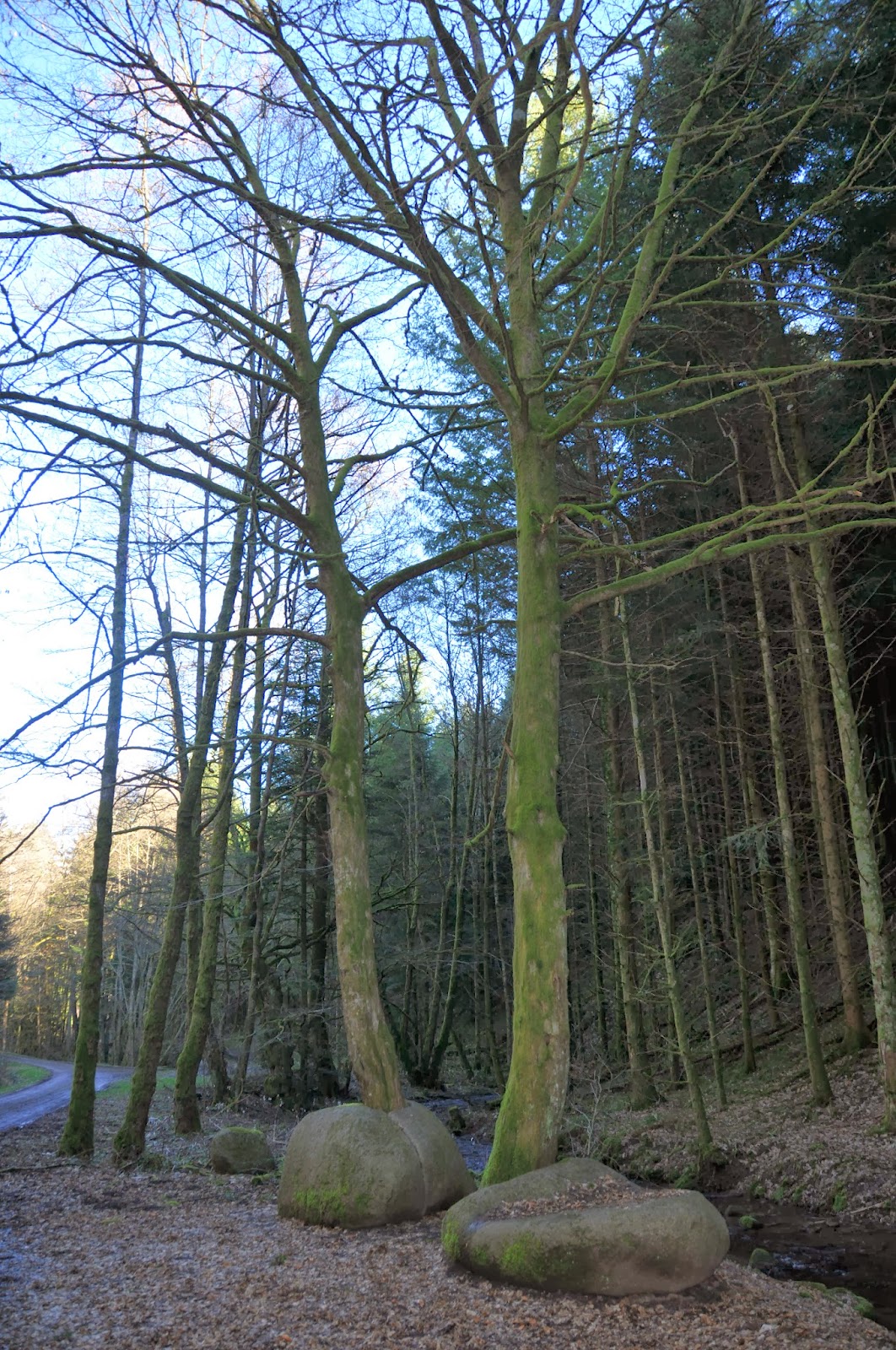 rencontre lutzelhouse