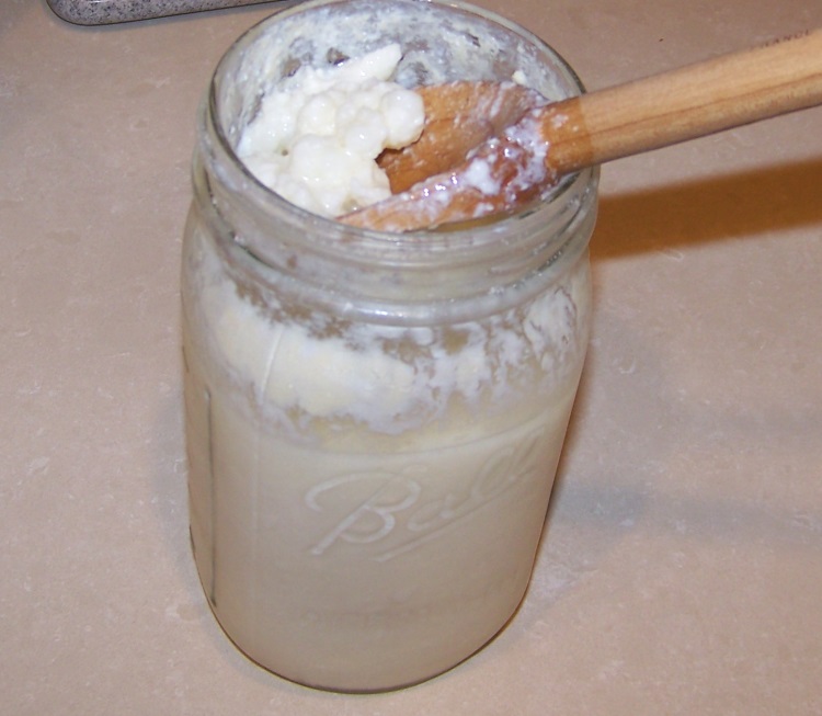 Foods By God Making Homemade Kefir