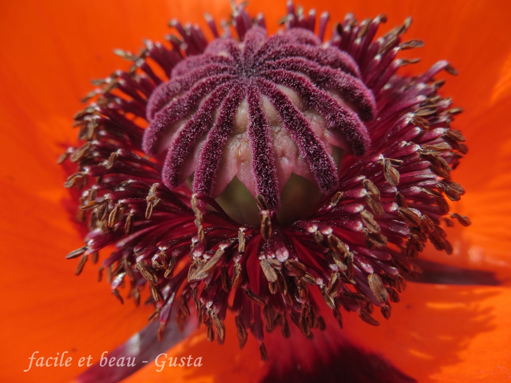 Rosegold Ostereier Mit Blutenkranz Diy Lifetime Bloglovin