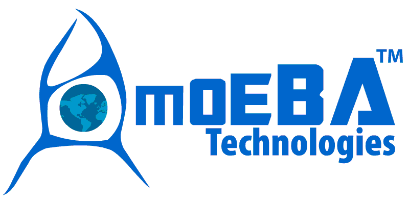 Amoeba Technologies - IT Consulting | IT Training