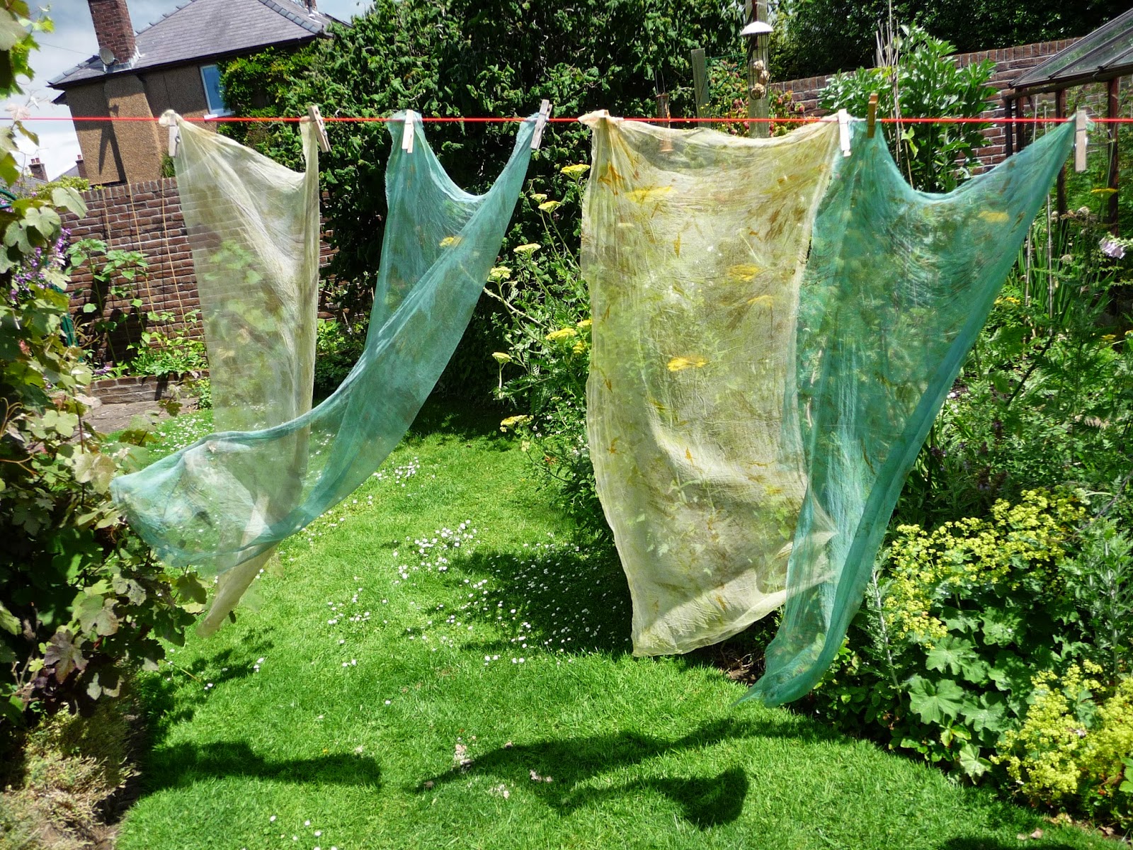 Wool Tribulations of Hand Spinning and Herbal Dyeing Japanese Indigo