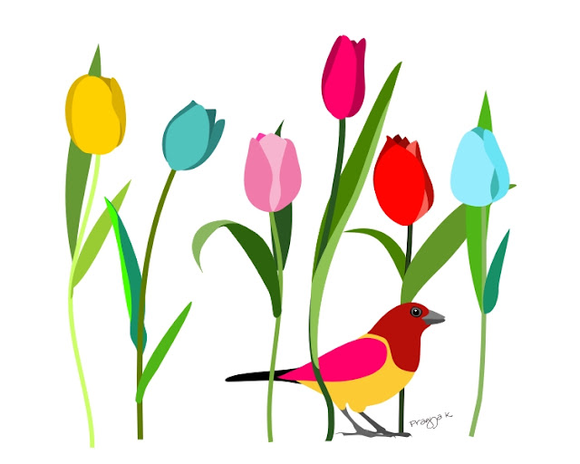 Tulip Draw