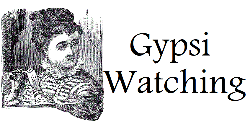 Gypsi Watching 