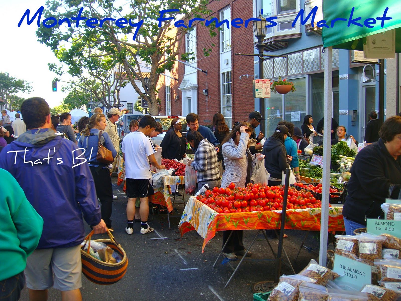 Old Monterey Farmer's Market sealaura