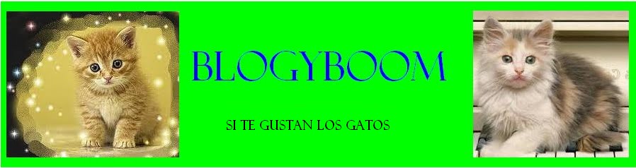 BLOGYBOOM