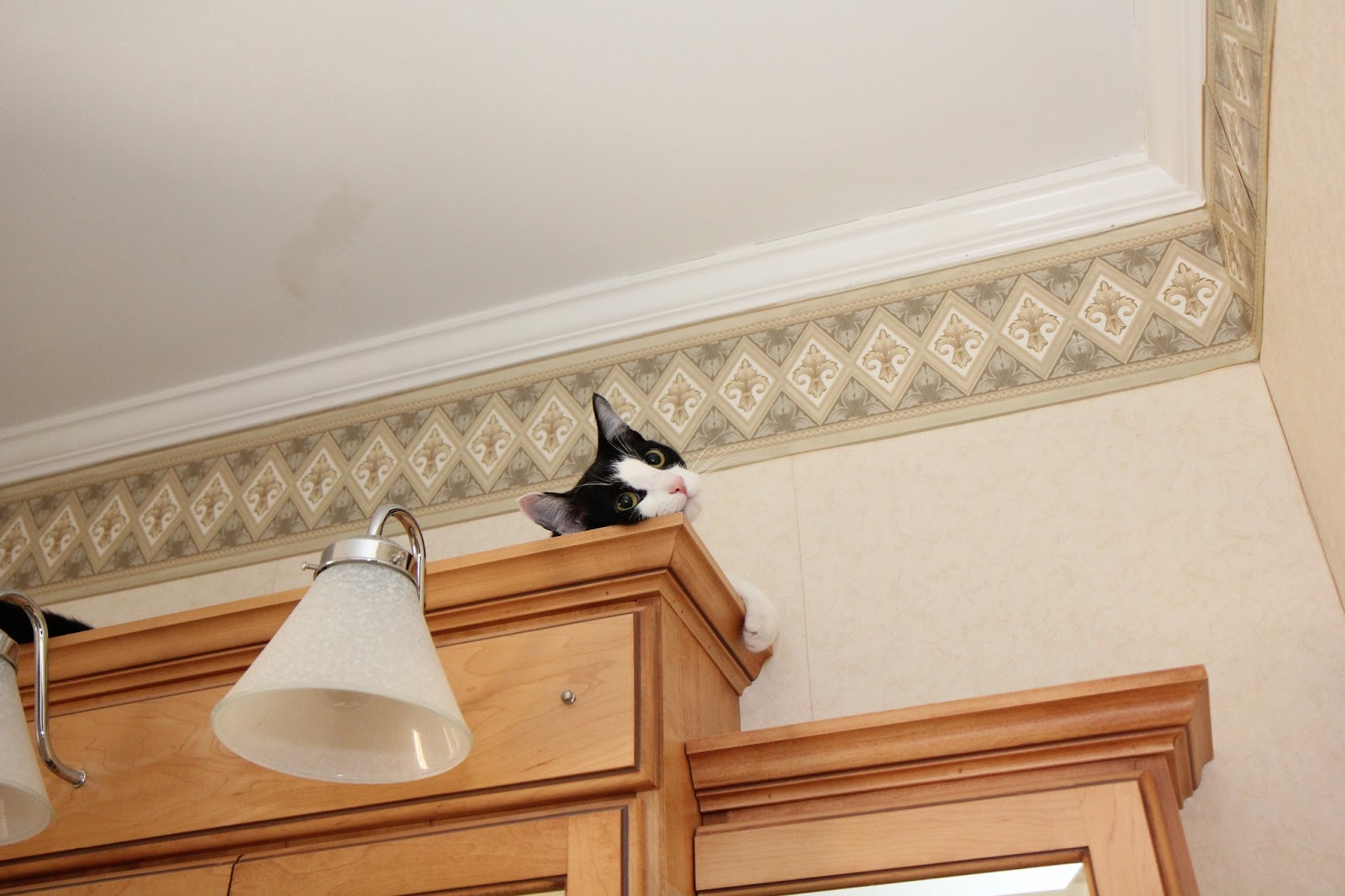 On top of medicine cabinet.