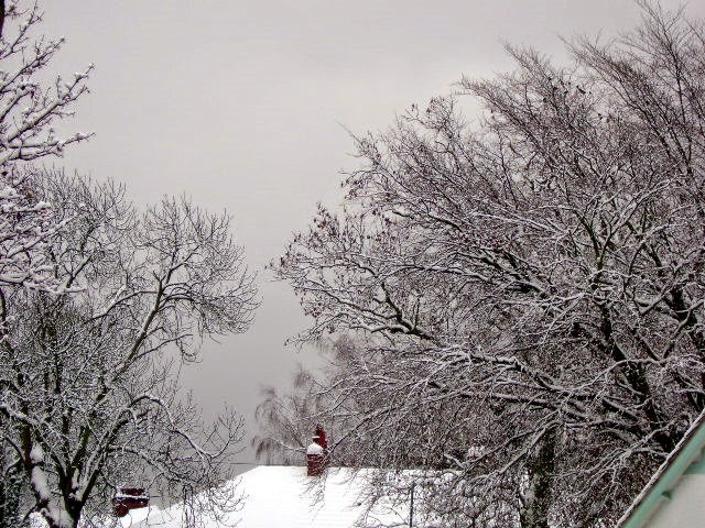 Snowy rooftop scene