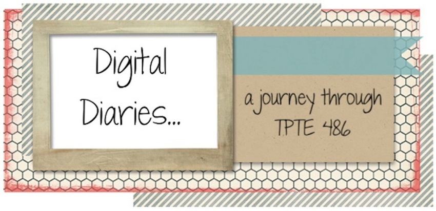 Digital Diaries in TPTE 486