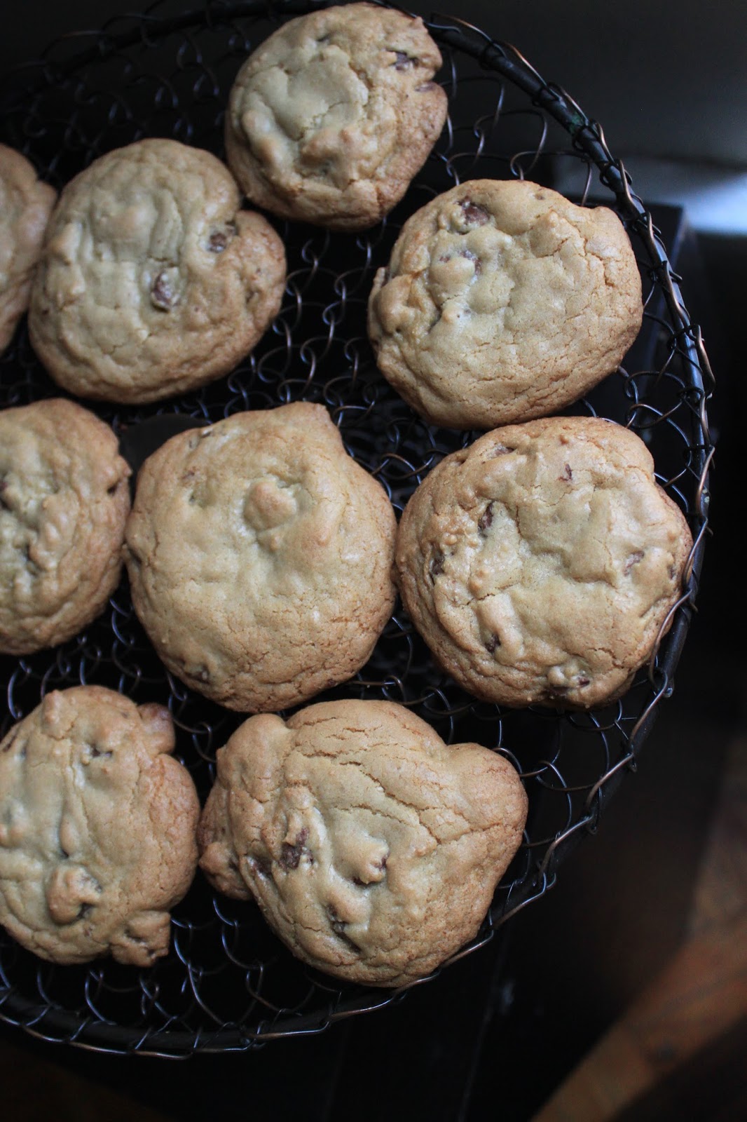 Life's Too Short to Skip Dessert Grapeseed Oil Chocolate Chip Cookies