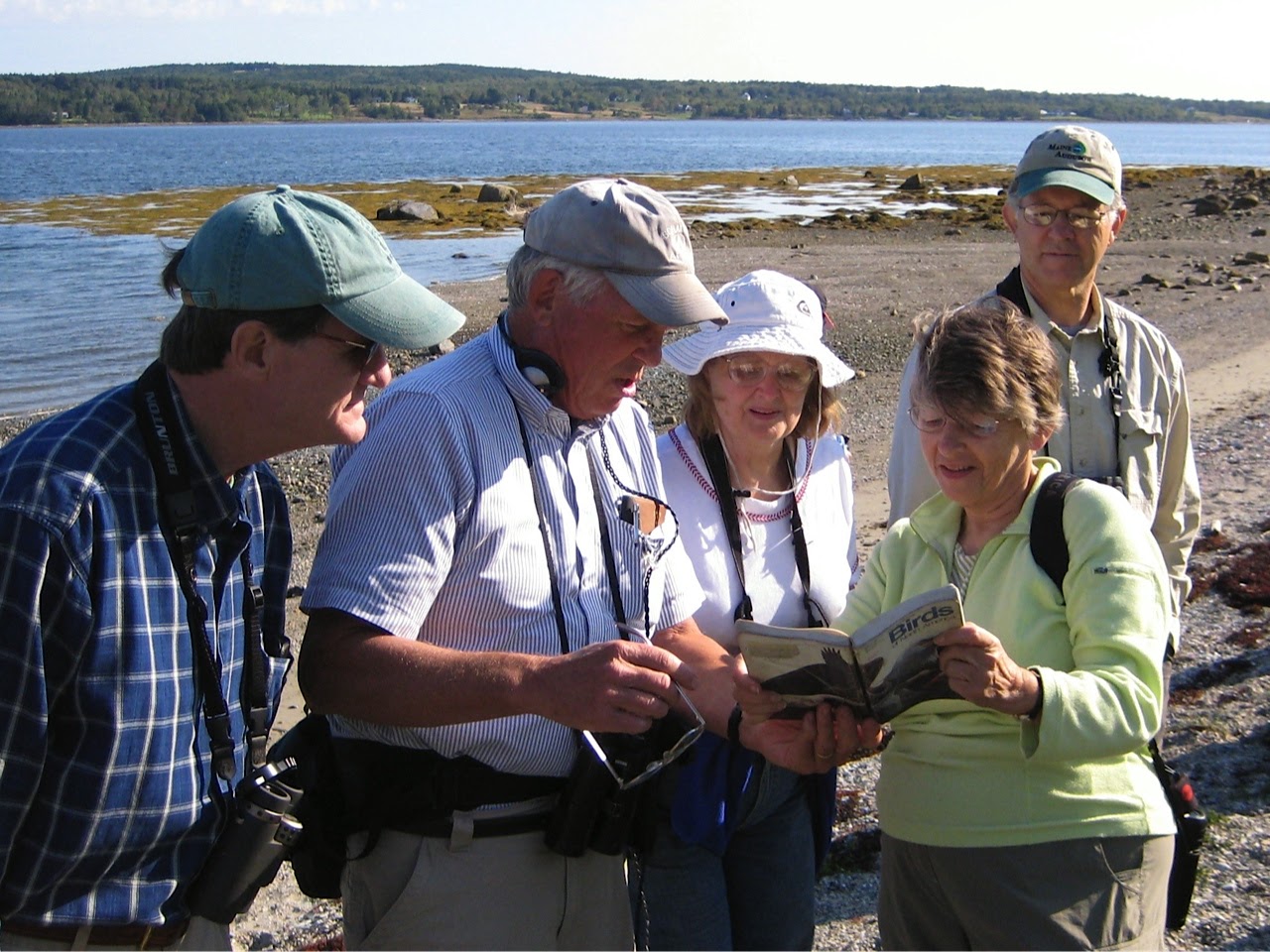Downeast Audubon Photos