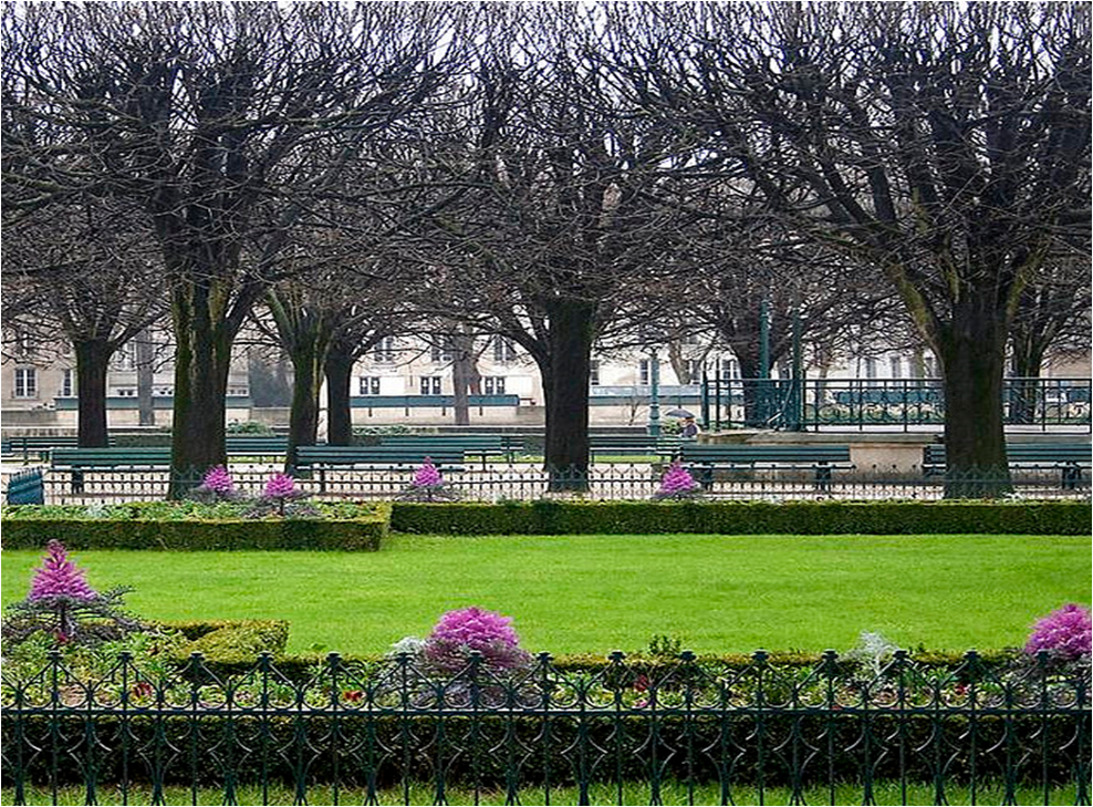 Oasis of Tranquility - Gardens of Notre Dame, Jardin Jean XXVIII, Paris