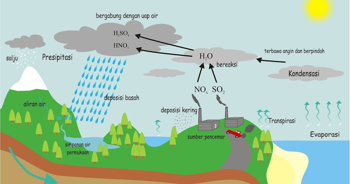Proses terjadinya hujan asam dan dampaknya bagi kehidupan