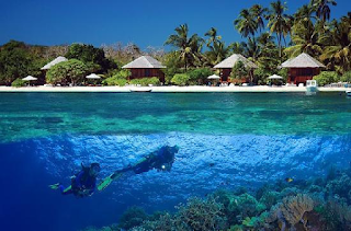 Wisata Bahari di Wakatobi Island Wisata Bahari di Wakatobi Island