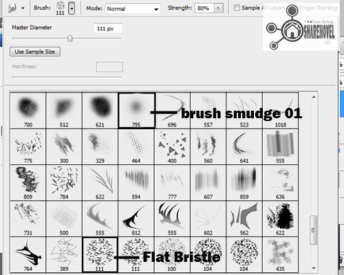 Pengaturan brush untuk memberi efek smudge painting Pengaturan brush untuk memberi efek smudge painting