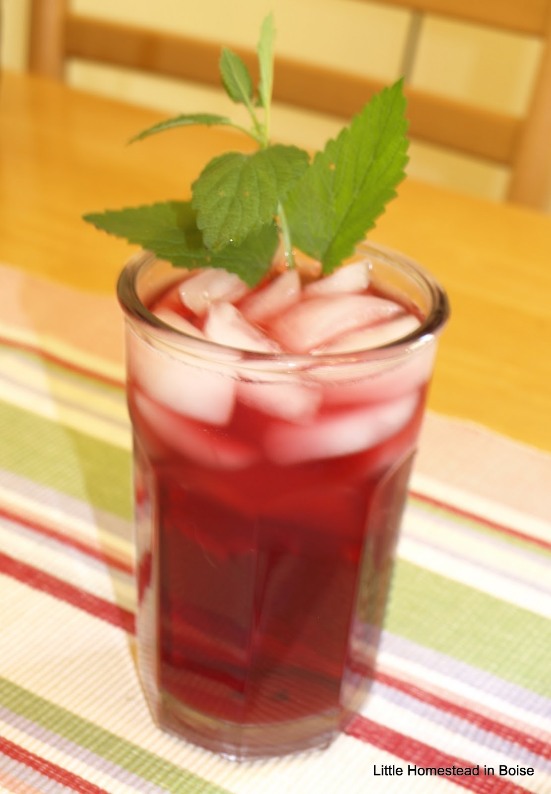 Little Homestead In Boise Finished The Veggie Garden/Chicken Proofing