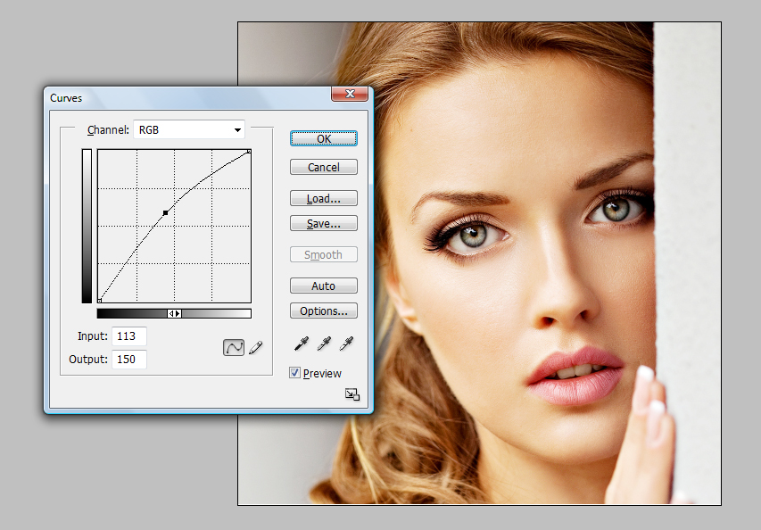 vintage style photo effect vintage style photo effect