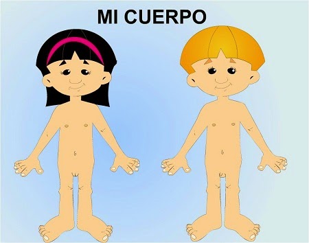 Mi cuerpo