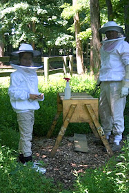 Be the Bee: Backyard Beekeeping Basics: Simple Living Ideas | Simple