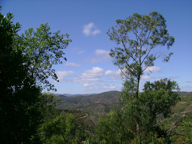 O INTERIOR E A SUA PAISAGEM