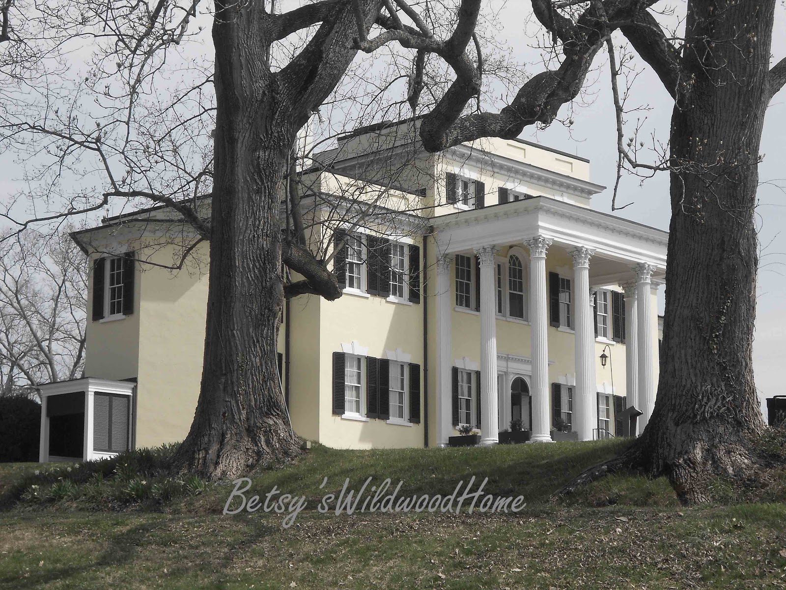 Betsy's Wildwood Home Oatlands Plantation In Leesburg Va