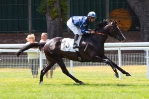 VOIR ARCHIVES  31/05/2017 - CHANTILLY -