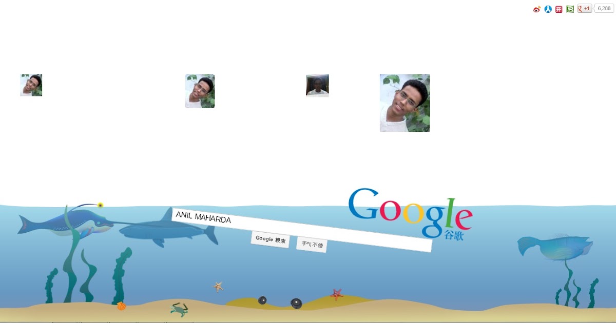 Google Underwater Image Search by The Hacking University The