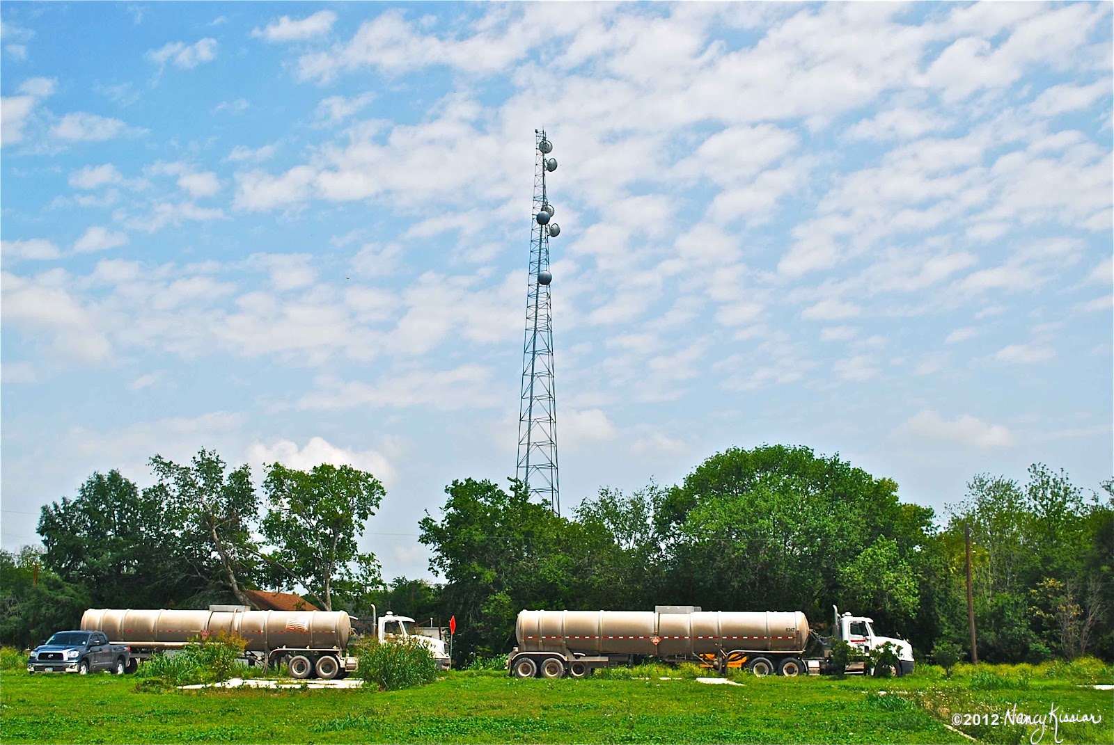 Wild About Texas Pettus...The History of a Small Texas Oil Town