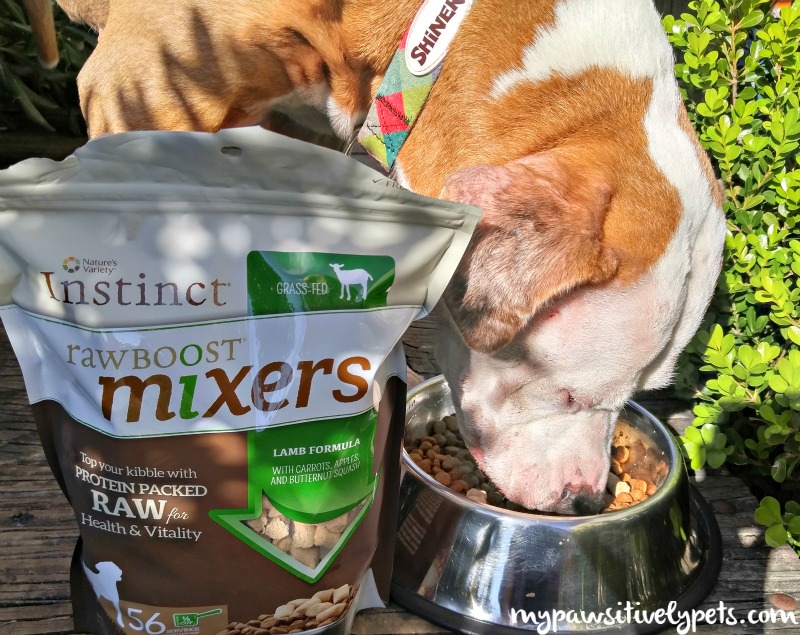 Topping Kibble With Nature S Variety Instinct Raw Topping Kibble With Nature S Variety Instinct Raw