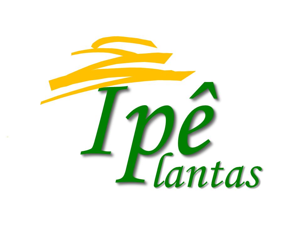 ipê de jardim em vaso: IPÊ PLANTAS: Inspirado na beleza do IPÊ, nos cuidamos do seu jardim ipê de jardim em vaso: IPÊ PLANTAS: Inspirado na beleza do IPÊ, nos cuidamos do seu jardim