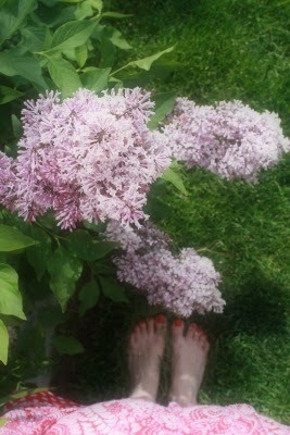 .: The flower garden