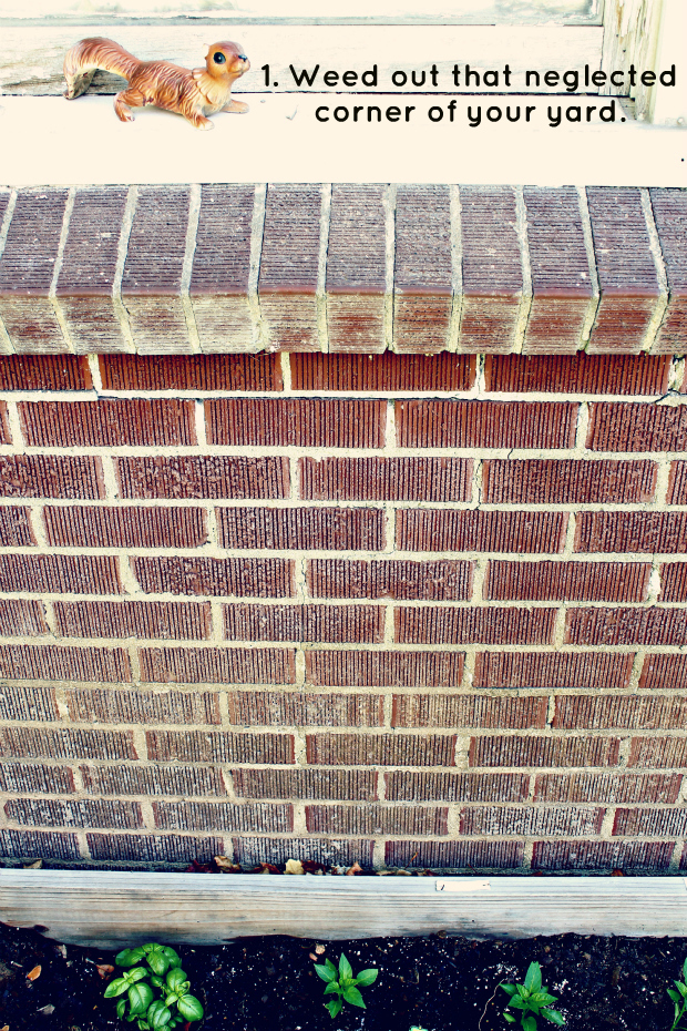 young people in love: DIY garden