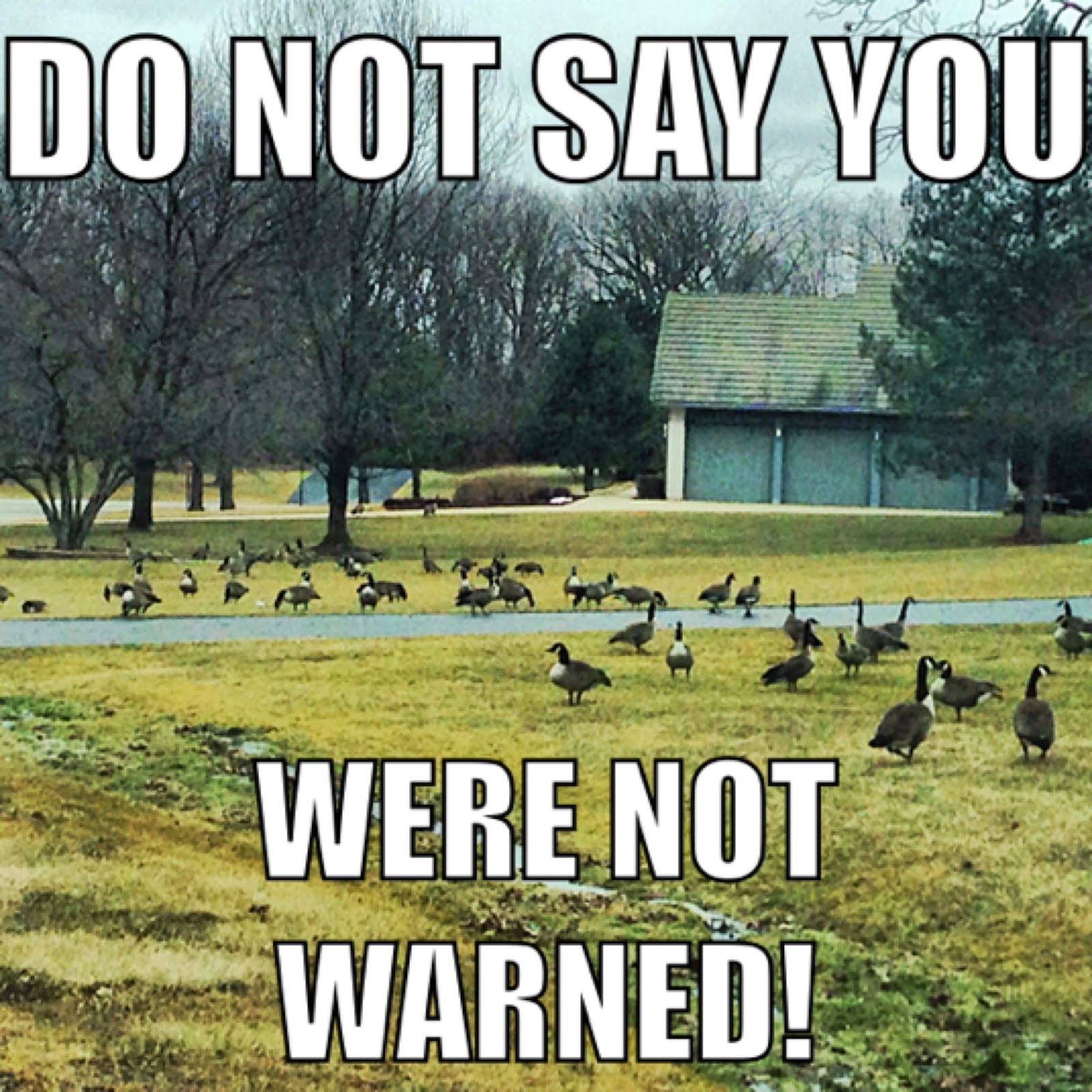 Goose Control and Herding Dogs: What will Canada Geese Remember Next