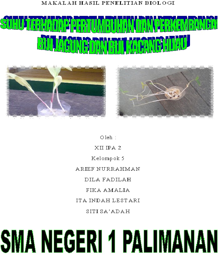 Dila S Kingdom Praktikum Suhu Terhadap Pertumbuhan Dan Perkembangan Biji Jagung Dan Biji Kacang Hijau