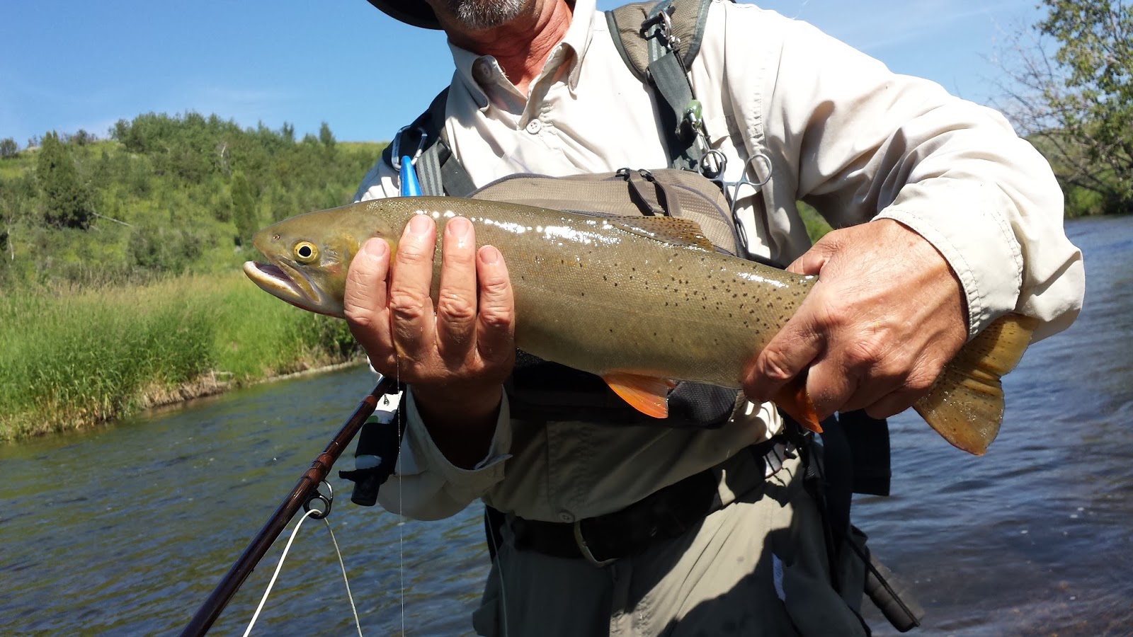 Idaho Fly Fishing