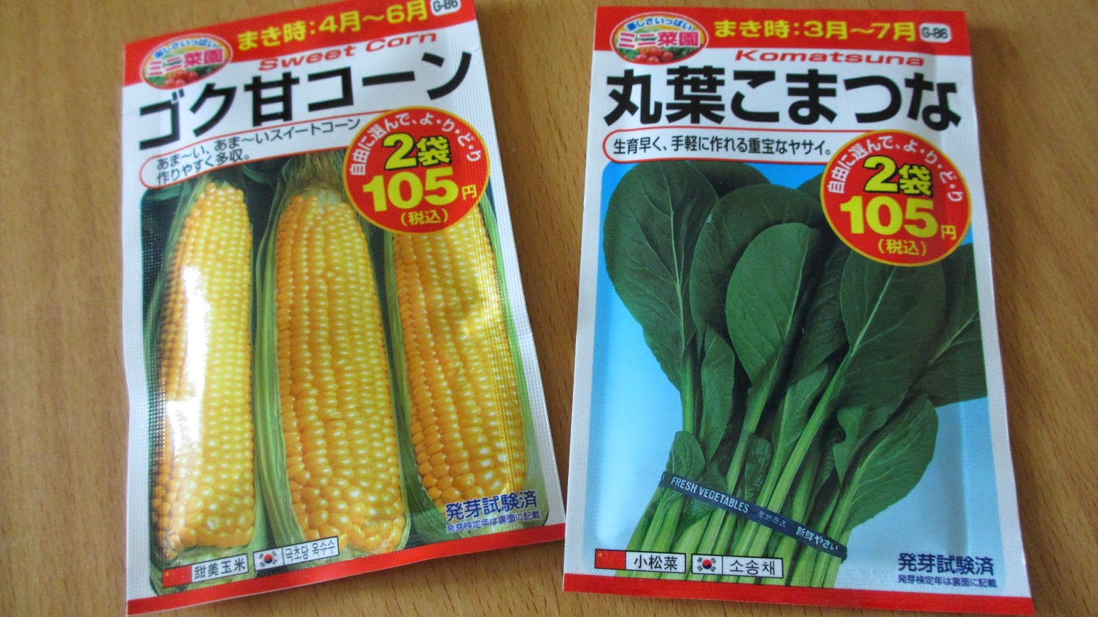 Kokoko Blog 烹飪 遊記 抗癌 14 7 14 小松菜 02 9 收割