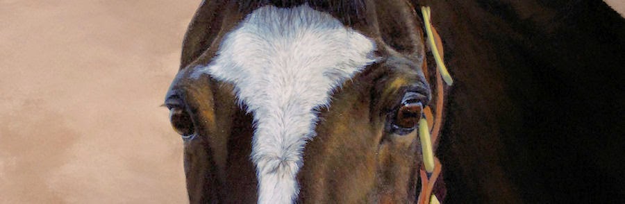 Equine art and more, look over my shoulder and join me in my studio
