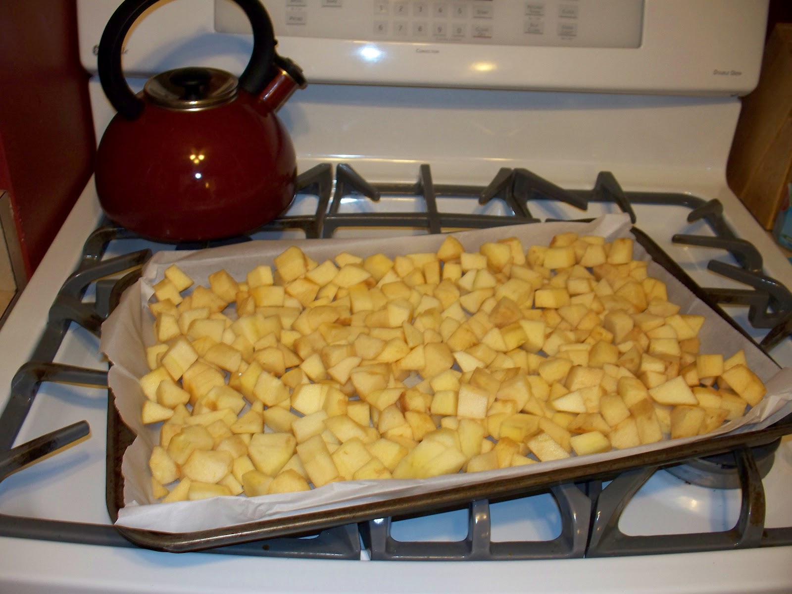 Molly's Lunch Box Salad Lunch with Homemade Applesauce and Recipe