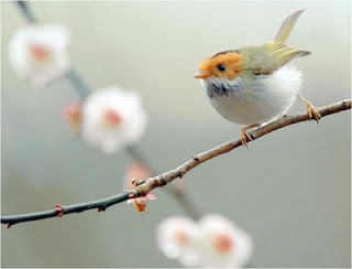 Estado: equilibrio.......